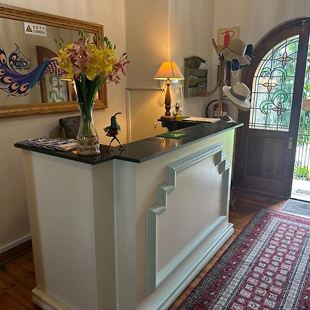 Bleu Bird Guesthouse Durban Ngoại thất bức ảnh