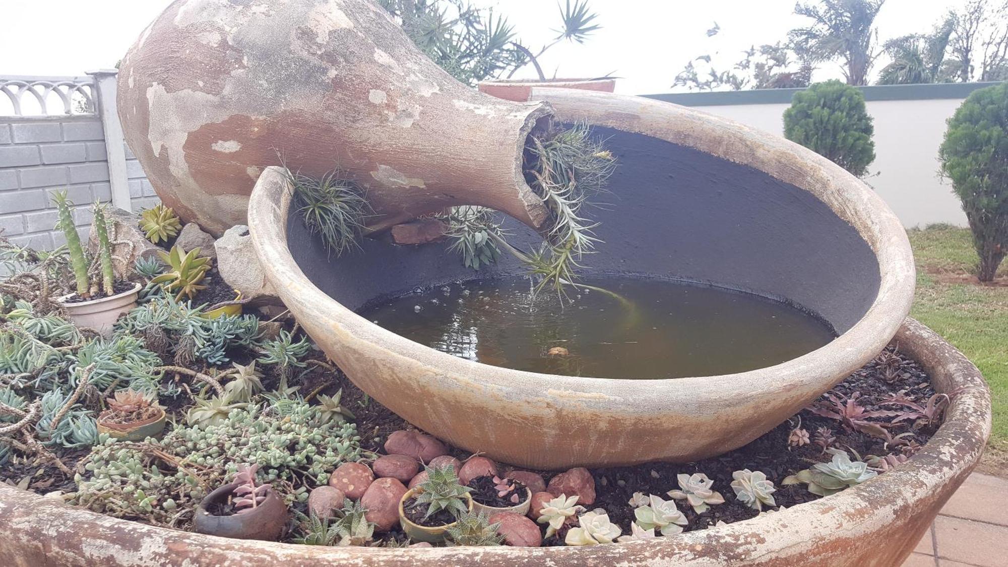Bleu Bird Guesthouse Durban Ngoại thất bức ảnh